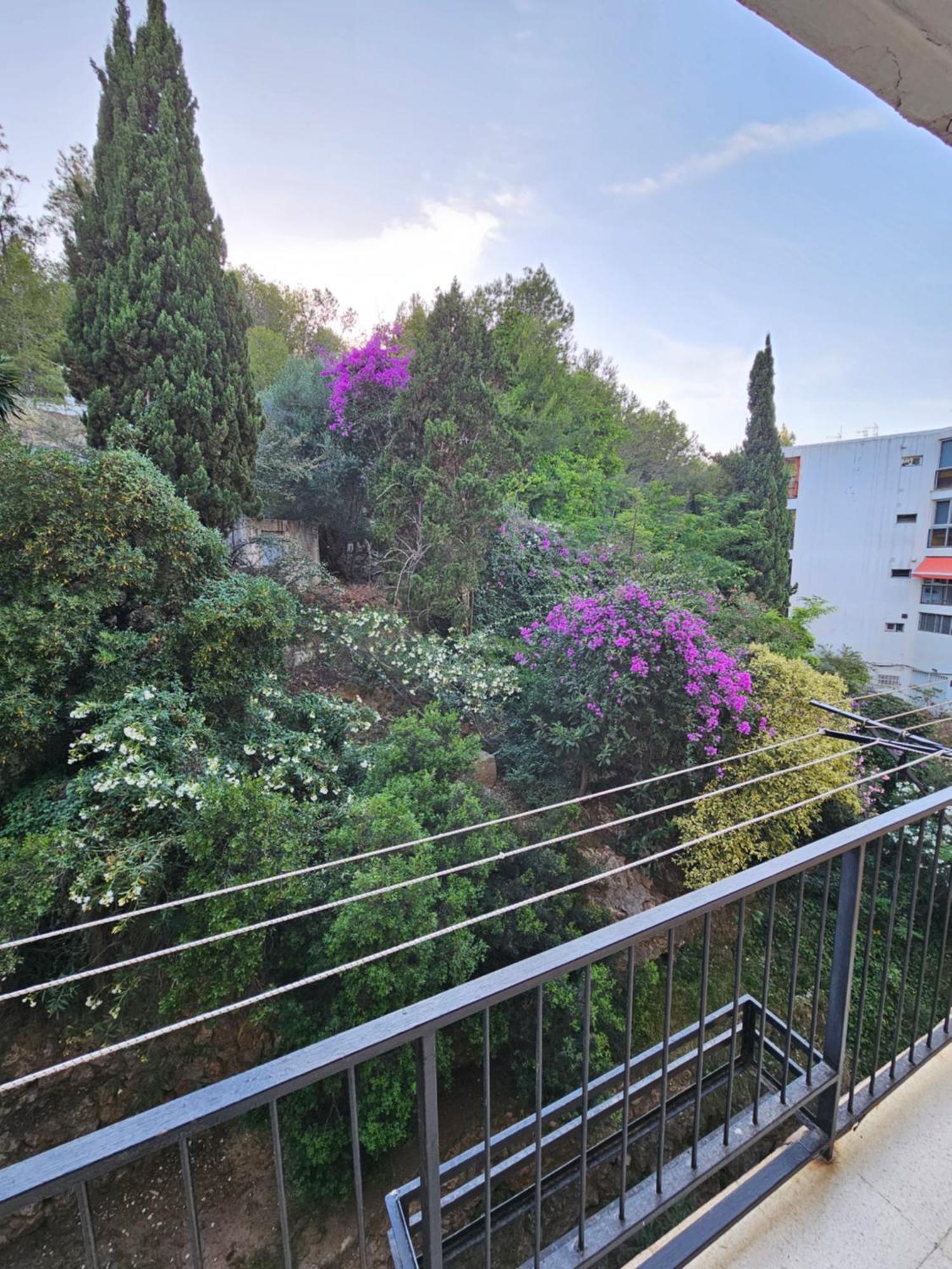 Apartamento Florido 2 托雷莫利诺斯 外观 照片